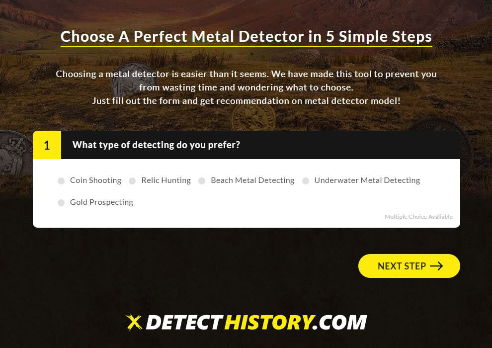 Metal Detector generator Detect History 1